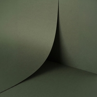 papier Keaykolour Sequoia 120g 700x1000mm ingeriemd FSC®