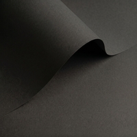 gekleurd papier Olin Colours Black 120g 700x1000mm oningeriemd op palletten FSC®