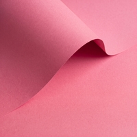 gekleurd papier Olin Colours Blush 90g 450x640mm ingeriemd FSC®