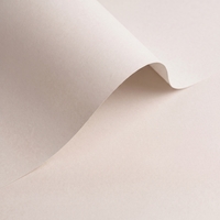 gekleurd papier Olin Colours Cloud 170g 700x1000mm ingeriemd FSC®