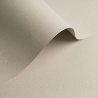gekleurd papier Olin Colours Grey 170g 450x640mm ingeriemd FSC®