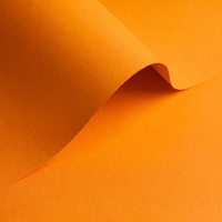 gekleurd papier Olin Colours Old Gold 170g 700x1000mm ingeriemd FSC®