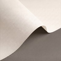 offset papier Olin Design Rough Bright White 300g 1020x720mm ingeriemd FSC®