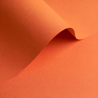 gekleurd papier Olin Colours Orange 240g 700x1000mm ingeriemd FSC®