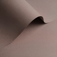 gekleurd papier Olin Colours Urban Grey 170g 700x1000mm ingeriemd FSC®