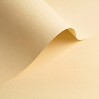 gekleurd papier Olin Colours Vanilla 120g 700x1000mm ingeriemd FSC®