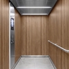 3M DI-NOC interieurfolie DW-2208MT - Dry Wood - Special Matte Design , 1220 mm x 50 m