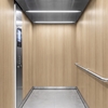 3M DI-NOC interieurfolie DW-1993MT - Dry Wood - Special Matte Design , 1220 mm x 50 m