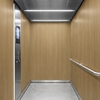 3M DI-NOC interieurfolie DW-2473MT - Dry Wood - Special Matte Design, 1220 mm x 50 m