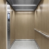 3M DI-NOC interieurfolie DW-2478MT - Dry Wood - Special Matte Design, 1220 mm x 50 m