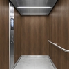 3M DI-NOC interieurfolie DW-2481MT - Dry Wood - Special Matte Design, 1220 mm x 50 m