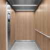 3M DI-NOC interieurfolie serie AR, FW-1129AR - Fine Wood - Abrasion Resistant, 1220 mm x 25 m