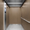 3M DI-NOC interieurfolie FW-1212 - Fine Wood, 1220 mm x 50 m