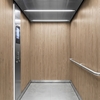 3M DI-NOC interieurfolie FW-1217 - Fine Wood, 1220 mm x 50 m