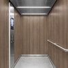 3M DI-NOC interieurfolie FW-1266 - Fine Wood, 1220 mm x 50 m