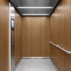 3M DI-NOC interieurfolie FW-1286 - Fine Wood, 1220 mm x 50 m