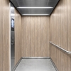3M DI-NOC interieurfolie FW-1767 - Fine Wood, 1220 mm x 50 m