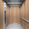 3M DI-NOC interieurfolie FW-1981 - Fine Wood, 1220 mm x 50 m