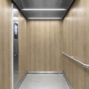 3M DI-NOC interieurfolie FW-2421 - Fine Wood, 1220 mm x 50 m