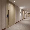 3M DI-NOC interieurfolie FW-2421 - Fine Wood, 1220 mm x 50 m