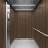 3M DI-NOC interieurfolie FW-2427 - Fine Wood, 1220 mm x 50 m