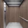 3M DI-NOC interieurfolie serie AR, FW-337AR - Fine Wood - Abrasion Resistant, 1220 mm x 25 m