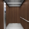 3M DI-NOC serie EX voor buitentoepassingen FW-7008EX - Fine Wood - Exterior, 1220 mm x 50 m