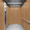 3M DI-NOC interieurfolie PW-2309MT Premium Wood - Special Matte Design, 1220 mm x 50 m
