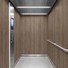 3M DI-NOC interieurfolie PW-2310MT Premium Wood - Special Matte Design, 1220 mm x 50 m