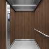 3M DI-NOC interieurfolie PW-2311MT Premium Wood - Special Matte Design, 1220 mm x 50 m