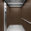 3M DI-NOC interieurfolie PW-2314MT Premium Wood - Special Matte Design, 1220 mm x 50 m