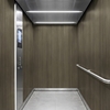 3M DI-NOC interieurfolie PW-2321MT - Premium Wood - Special Matte Design, 1220 mm x 50 m
