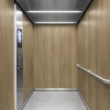 3M DI-NOC interieurfolie PW-2323MT - Premium Wood - Special Matte Design, 1220 mm x 50 m