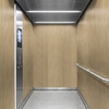 3M DI-NOC interieurfolie PW-2326MT - Premium Wood - Special Matte Design, 1220 mm x 50 m