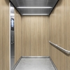 3M DI-NOC interieurfolie WG-2450 - Wood Grain, 1220 mm x 50 m