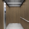3M DI-NOC interieurfolie WG-2462 - Wood Grain, 1220 mm x 50 m