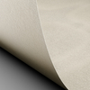 papier Conqueror gevergeerd roomkleur 100g met watermerk 210x297mm doos FSC®