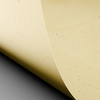 Curious Particles Envelopes