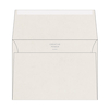 Curious Translucents Clear Enveloppen