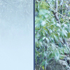 3M Fasara decoratieve glasfolie - Gradation, SH2FGDM Diamond, 1270 mm x 30 m