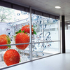 Arlon DPF 6000RP Clear – Transparante gegoten vinylfolie van 50 µm, met permanente kleeflaag met sterke hechting, geschikt voor digitaal printen.