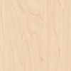 Coala Interior film, WOOD CT19 - Gold And White Birch 1220 mm