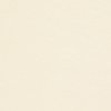 papier Conqueror Wove gebroken wit 160g 720x1020mm ingeriemd FSC®