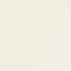 papier Conqueror Wove ivoorwit 100g met watermerk 450x640mm ingeriemd FSC®