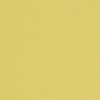 papier Curious Metallics Lime 300g 700x1000mm ingeriemd FSC®
