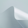papier Curious Matter Goya White 380g 700x1000mm ingeriemd FSC®