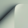 papier Curious Skin grey 270g 700x1000 ingeriemd FSC®