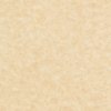 papier Keaykolour Original Recycled Pulp (Hout) Parchment Aged 170g 700x1000mm ingeriemd FSC®