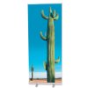 Roll-Up Coala System RollUp Eco Value
