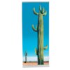 Coala RollUp TWIN – Dubbelzijdig Roll-Up Display